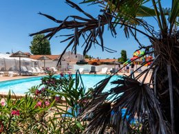 Camping Pas Cher vous présente avec son site Officiel campingpascher.fr, le Camping Les Violettes classé 4 étoiles, situé sur la commune de La Faute Sur Mer dans le département Vendée (Pays De La Loire) en France. Le camping Les Violettes, vous présente un hébergement de type mobil-home de 30 m² avec climatisation et télévision. Le camping Les Violettes vous propose du sam. 30 mai au sam. 06 juin 2026, en promotion à -15% pour 7 nuits à 289 € au lieu de 340,0 € soit une Économie de 51 €. Cette location propose 115 dates différentes pour réserver votre séjour. Découvrez également les 11 autres gammes d'hébergements du camping. Les Avis clients pour le Camping Les Violettes sont excellents avec une note moyenne de 8 sur 10. Mer, Piscine couverte, Piscine extérieure, Animations familiales, Club enfants, Aire de jeux enfants, Baby-foot, Cyclisme, Ping-pong, Piscine, Pétanque, Ski nautique, Terrain multisports, Bar, Dépôt de pain, Plats à emporter, Snack/Bar, Épicerie,... En savoir plus : cliquez-ICI.