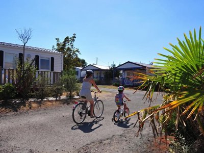 Cliquez pour découvrir toutes les photos de l'ÉTABLISSEMENT ! camping Le Pavillon Bleu photo 18