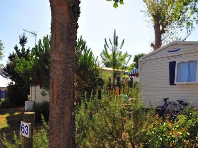 Cliquez pour découvrir toutes les photos de l'ÉTABLISSEMENT ! camping Le Pavillon Bleu photo 20