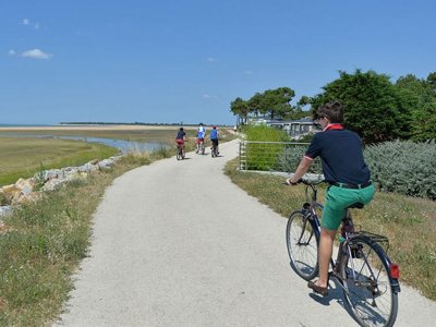 Cliquez pour découvrir toutes les photos de l'ÉTABLISSEMENT ! camping Le Pavillon Bleu photo 28