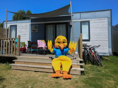 Cliquez pour découvrir toutes les photos de l'HÉBERGEMENT ! mobil-home - Paradis - Le Grand R photo 7