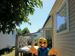 Camping Pas Cher vous présente avec son site Officiel campingpascher.fr, le Camping Paradis - Le Grand R classé 4 étoiles, situé sur la commune de La Faute Sur Mer dans le département Vendée (Pays De La Loire) en France. Le camping Paradis - Le Grand R, vous présente un hébergement de type mobil-home de 34 m² pour 4 personnes et télévision. Le camping Paradis - Le Grand R vous propose du sam. 18 avril au sam. 25 avril 2026, en promotion à -10% pour 7 nuits à 239 € au lieu de 267,0 € soit une Économie de 28 €. Cette location propose 25 dates différentes pour réserver votre séjour. Découvrez également les 11 autres gammes d'hébergements du camping. Les Avis clients pour le Camping Paradis - Le Grand R sont excellents avec une note moyenne de 8 sur 10. MerRivière, Piscine chauffée, Piscine couverte, Animations familiales, Club ados, Club enfants, Aire de jeux enfants, Centre équestre, Cyclisme, Ping-pong, Pétanque, Randonnée, Salle de jeux vidéo, Structure gonflable enfants, Terrain de basketball, Terrain de football, Terrain de volley-ball, Trampoline, Bar, Boulangerie, Dépôt de pain, Snack/Bar, Supermarché, Épicerie,... En savoir plus : cliquez-ICI.