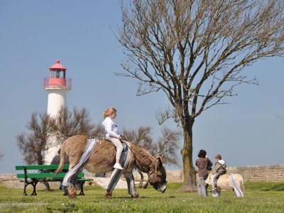 camping Les Peupliers photo 28