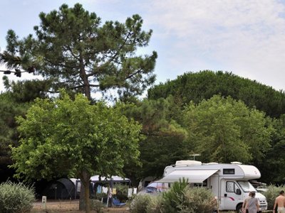 camping Flower Le Bel Air photo 28