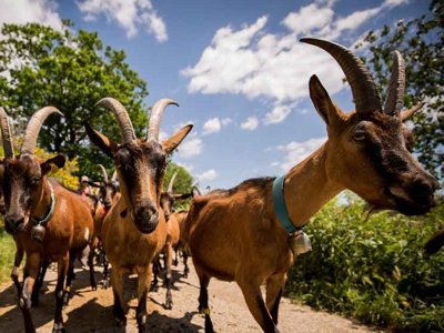 établissement Hello Soleil photo 22