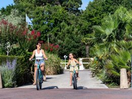 Camping Pas Cher vous présente avec son site Officiel campingpascher.fr, le Camping Sandaya L'Estanquet classé 4 étoiles, situé sur la commune de La Palmyre dans le département Charente-maritime (Poitou Charentes) en France. Le camping Sandaya L'Estanquet, vous présente un hébergement de type chalet de 36 m² pour 1 personne et télévision. Le camping Sandaya L'Estanquet vous propose du lundi 01 juin au lundi 08 juin 2026, en promotion à -20% pour 7 nuits à 195,20 € au lieu de 244,0 € soit une Économie de 48,80 €. Cette location propose 61 dates différentes pour réserver votre séjour. Découvrez également les 13 autres gammes d'hébergements du camping. Les Avis clients pour le Camping Sandaya L'Estanquet sont excellents avec une note moyenne de 8 sur 10. Piscine chauffée, Piscine extérieure, Club ados, Club enfants, Aire de jeux enfants, Centre équestre, Court de tennis, Cyclisme, Golf, Ping-pong, Structure gonflable enfants, Terrain de basketball, Terrain de football, Terrain multisports, Dépôt de pain, Restaurant, Supermarché, Épicerie,... En savoir plus : cliquez-ICI.