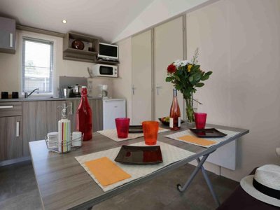 Cliquez pour découvrir toutes les photos de l'HÉBERGEMENT ! mobil-home - Flower La Guichardière photo 2