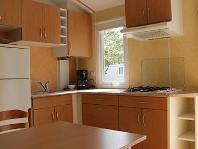 Cliquez pour découvrir toutes les photos de l'HÉBERGEMENT ! mobil-home - Flower La Guichardière photo 2