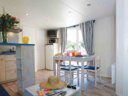 Cliquez pour découvrir toutes les photos de l'HÉBERGEMENT ! mobil-home - camping Flower La Guichardière photo 2