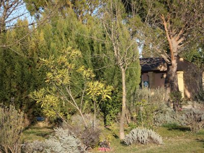 Cliquez pour découvrir toutes les photos de l'ÉTABLISSEMENT ! camping Flower Le Dolium photo 24