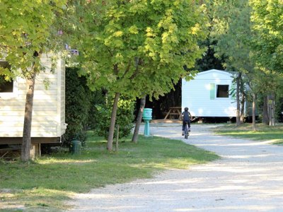 Cliquez pour découvrir toutes les photos de l'ÉTABLISSEMENT ! camping Flower Le Dolium photo 26