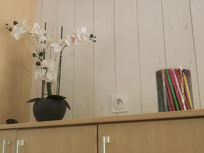 mobil-home - Flower Le Dolium photo 5