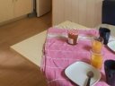 mobil-home - camping Flower Le Dolium photo 3