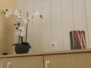 mobil-home - camping Flower Le Dolium photo 5