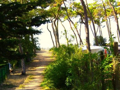 camping Maeva Club Les Préveils photo 25