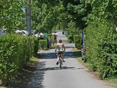 Cliquez pour découvrir toutes les photos de l'ÉTABLISSEMENT ! camping Le Cottage Fleuri photo 28