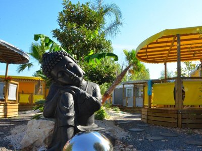 Cliquez pour découvrir toutes les photos de l'ÉTABLISSEMENT ! camping L'Oasis Palavasienne photo 28