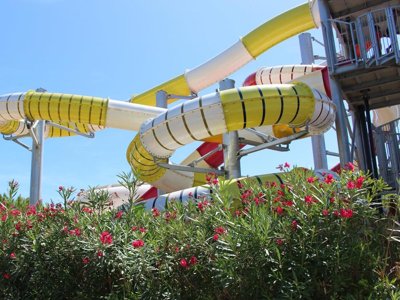 Cliquez pour découvrir toutes les photos de l'ÉTABLISSEMENT ! camping L'Oasis Palavasienne photo 6