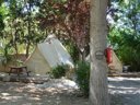 Cliquez pour découvrir toutes les photos de l'HÉBERGEMENT ! tente - camping L'Oasis Palavasienne photo 2