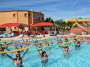 Cliquez pour découvrir toutes les photos de l'ÉTABLISSEMENT ! camping L'Oasis Palavasienne photo 4