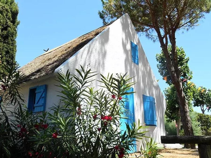Camping Pas Cher vous présente avec son site Officiel campingpascher.fr, le Camping Le Camarguais classé 3 étoiles, situé sur la commune de Lattes dans le département Hérault (Languedoc Roussillon) en France. Le camping Le Camarguais, vous présente un hébergement de type maison de 35 m² avec climatisation et télévision. Le camping Le Camarguais vous propose du sam. 04 juillet au sam. 11 juillet 2026, en promotion à -23% pour 7 nuits à 669 € au lieu de 880,26 € soit une Économie de 211,26 €. Cette location propose 22 dates différentes pour réserver votre séjour. Découvrez également les 17 autres gammes d'hébergements du camping. Les Avis clients pour le Camping Le Camarguais sont excellents avec une note moyenne de 8 sur 10. Piscine extérieure, Animations familiales, Aire de jeux enfants, Ping-pong, Pétanque, Terrain multisports, Bar, Dépôt de pain, Plats à emporter, Snack/Bar, Épicerie,... En savoir plus : cliquez-ICI.