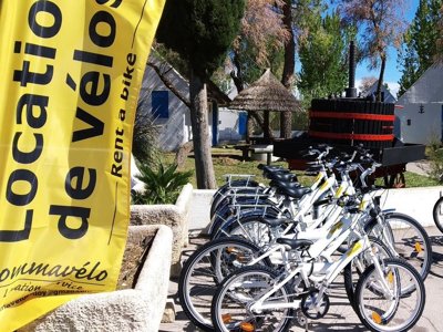 Cliquez pour découvrir toutes les photos de l'ÉTABLISSEMENT ! camping Le Camarguais photo 10