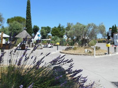 Cliquez pour découvrir toutes les photos de l'ÉTABLISSEMENT ! camping Le Camarguais photo 8