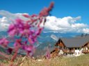 Cliquez pour découvrir toutes les photos de l'ÉTABLISSEMENT ! résidence Goélia Les Alpages Du Corbier photo 8