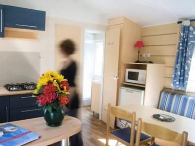 mobil-home - Le Lac De Laval-de-Cère photo 3
