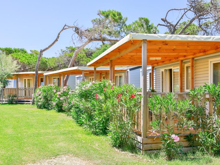 Camping Pas Cher vous présente avec son site Officiel campingpascher.fr, le Camping Gitavillage California, situé sur la commune de Lazio dans le département Rome (Latium) en Italie. Le camping Gitavillage California, vous présente un hébergement de type mobil-home de 32 m² avec climatisation. Le camping Gitavillage California vous propose du sam. 12 septembre au sam. 19 septembre 2026 pour 7 nuits à 483€. Cette location propose 41 dates différentes pour réserver votre séjour. Découvrez également les 8 autres gammes d'hébergements du camping. Les Avis clients pour le Camping Gitavillage California sont excellents avec une note moyenne de 8 sur 10. Mer, Piscine extérieure, Animations familiales, Aire de jeux enfants, Canoë-kayak, Court de tennis, Ping-pong, Pédalo, Pétanque, Salle de fitness, Terrain de beach-volley, Terrain de football, Bar, Bureau de tabac, Pizzeria, Restaurant, Supermarché,... En savoir plus : cliquez-ICI.