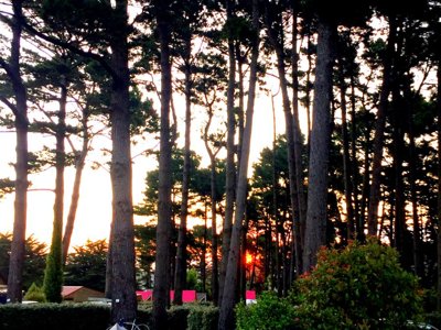 Cliquez pour découvrir toutes les photos de l'ÉTABLISSEMENT ! camping Slow Village Belle-Île-en-Mer photo 12