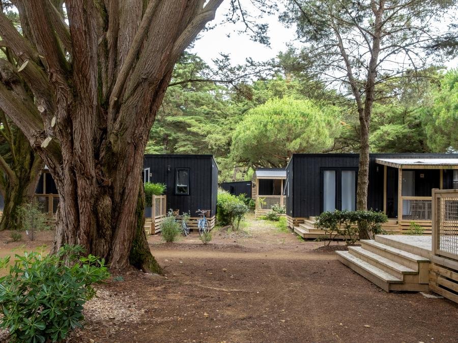 Camping Pas Cher vous présente avec son site Officiel campingpascher.fr, le Camping FLOWER Tamarins Plage classé 2 étoiles, situé sur la commune de Le Bois Plage En Re dans le département Charente-maritime (Poitou Charentes) en France. Le camping FLOWER Tamarins Plage, vous présente un hébergement de type mobil-home de 3 m² et télévision. Le camping FLOWER Tamarins Plage vous propose du vendredi 04 septembre au vendredi 11 septembre 2026, en promotion à -18% pour 7 nuits à 692,12 € au lieu de 849,42 € soit une Économie de 157,30 €. Cette location propose 30 dates différentes pour réserver votre séjour. Découvrez également les 4 autres gammes d'hébergements du camping. Les Avis clients pour le Camping FLOWER Tamarins Plage sont excellents avec une note moyenne de 8 sur 10. Animations familiales, Club ados, Club enfants, Aire de jeux enfants, Canoë-kayak, Cyclisme, Ping-pong, Planche à voile, Pétanque, Randonnée, Surf, Terrain de volley-ball, Voile,... En savoir plus : cliquez-ICI.