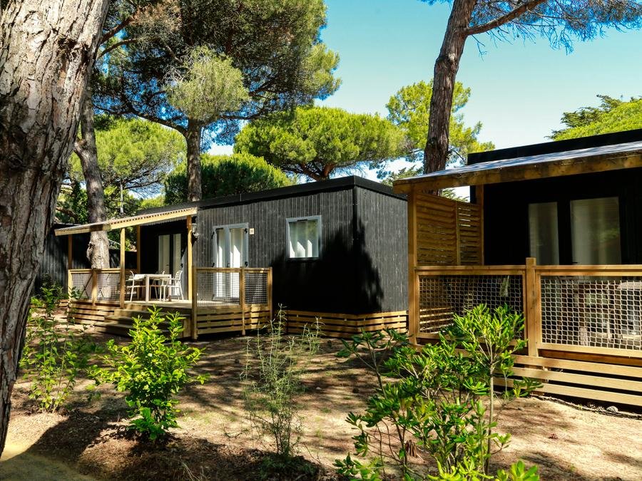 Camping Pas Cher vous présente avec son site Officiel campingpascher.fr, le Camping FLOWER Tamarins Plage classé 2 étoiles, situé sur la commune de Le Bois Plage En Re dans le département Charente-maritime (Poitou Charentes) en France. Le camping FLOWER Tamarins Plage, vous présente un hébergement de type mobil-home de 30 m². Le camping FLOWER Tamarins Plage vous propose du sam. 06 juin au sam. 13 juin 2026, en promotion à -18% pour 7 nuits à 597,52 € au lieu de 733,32 € soit une Économie de 135,80 €. Cette location propose 5 dates différentes pour réserver votre séjour. Découvrez également les 7 autres gammes d'hébergements du camping. Les Avis clients pour le Camping FLOWER Tamarins Plage sont excellents avec une note moyenne de 8 sur 10. Animations familiales, Club ados, Club enfants, Aire de jeux enfants, Canoë-kayak, Cyclisme, Ping-pong, Planche à voile, Pétanque, Randonnée, Surf, Terrain de volley-ball, Voile,... En savoir plus : cliquez-ICI.