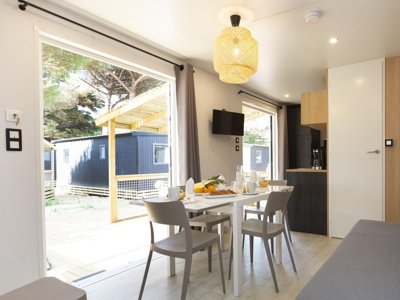 Cliquez pour découvrir toutes les photos de l'HÉBERGEMENT ! mobil-home - FLOWER Tamarins Plage photo 7