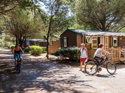 camping FLOWER Tamarins Plage photo 3