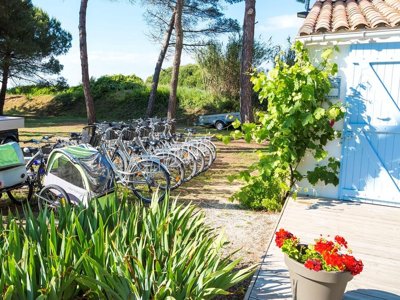 camping FLOWER Tamarins Plage photo 5