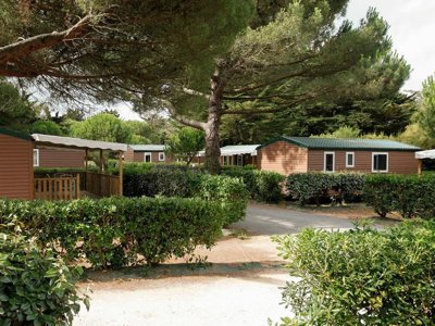 camping FLOWER Tamarins Plage photo 8