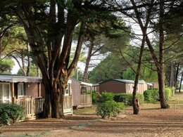 Camping Pas Cher vous présente avec son site Officiel campingpascher.fr, le Camping FLOWER Tamarins Plage classé 2 étoiles, situé sur la commune de Le Bois Plage En Re dans le département Charente-maritime (Poitou Charentes) en France. Le camping FLOWER Tamarins Plage, vous présente un hébergement de type mobil-home de 3 m² et télévision. Le camping FLOWER Tamarins Plage vous propose du mercredi 08 avril au mercredi 15 avril 2026, en promotion à -9% pour 7 nuits à 501,50 € au lieu de 551,1 € soit une Économie de 49,60 €. Cette location propose 120 dates différentes pour réserver votre séjour. Découvrez également les 3 autres gammes d'hébergements du camping. Les Avis clients pour le Camping FLOWER Tamarins Plage sont excellents avec une note moyenne de 8 sur 10. Animations familiales, Club ados, Club enfants, Aire de jeux enfants, Canoë-kayak, Cyclisme, Ping-pong, Planche à voile, Pétanque, Randonnée, Surf, Terrain de volley-ball, Voile,... En savoir plus : cliquez-ICI.