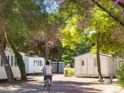 établissement Le Suroit photo 14