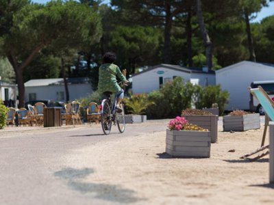 établissement Le Suroit photo 15