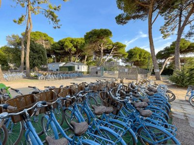 établissement Le Suroit photo 21