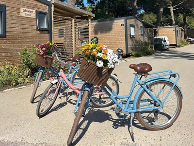 établissement Le Suroit photo 4