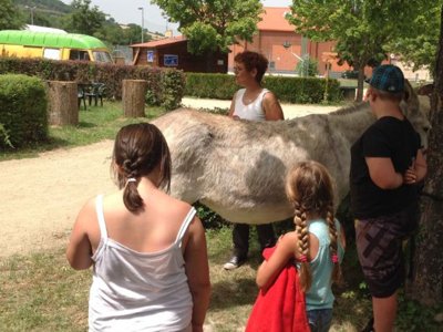 camping Le Pont D'Allagnon photo 11