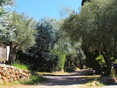 camping Les Philippons photo 12