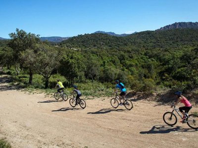 camping Les Philippons photo 19