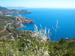 Camping Pas Cher vous présente avec son site Officiel campingpascher.fr, le Camping Les Philippons classé 3 étoiles, situé sur la commune de Les Adrets De L'esterel dans le département Var (Provence Alpes Côte D'azur) en France. Le camping Les Philippons vous propose un hébergement de type mobil-home de 22 m² avec climatisation (télévision). L'établissement vous propose 7 autres types d'hébergements. Découvrez tous nos séjours à petits prix dans la commune et aux alentours de Les Adrets De L'esterel du département : Var (Provence Alpes Côte D'azur). Les Avis clients pour le Camping Les Philippons sont excellents avec une note moyenne de 8 sur 10. Piscine extérieure, Aire de jeux enfants, Baby-foot, Canoë-kayak, Centre équestre, Cyclisme, Parcours sportif, Ping-pong, Pétanque, Randonnée, Bar, Dépôt de pain, Épicerie,... En savoir plus : cliquez-ICI.