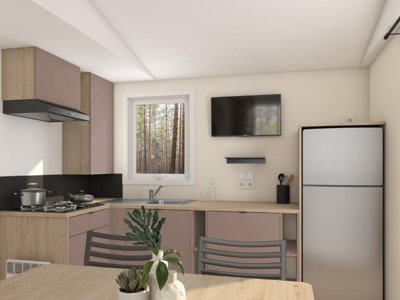 Cliquez pour découvrir toutes les photos de l'HÉBERGEMENT ! mobil-home - Flower L'Ile Des Trois Rois photo 4