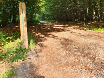 camping De L'Orival photo 6