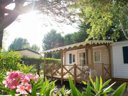 Cliquez pour découvrir toutes les photos de l'HÉBERGEMENT ! bungalow - camping Abri De Camargue photo 7