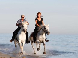 Camping Pas Cher vous présente avec son site Officiel campingpascher.fr, le Camping Abri De Camargue classé 4 étoiles, situé sur la commune de Le Grau Du Roi dans le département Gard (Languedoc Roussillon) en France. Le camping Abri De Camargue, vous présente un hébergement de type mobil-home de 32 m² pour 6 personnes avec climatisation et télévision. Le camping Abri De Camargue vous proposeun séjour PAS CHER avec une REMISEdu sam. 05 septembre au sam. 12 septembre 2026, en promotion à -34% pour 7 nuits à 329 € au lieu de 506,0 € soit une Économie de 177 €. Cette location propose 22 dates différentes pour réserver votre séjour. Découvrez également les 3 autres gammes d'hébergements du camping. Les Avis clients pour le Camping Abri De Camargue sont excellents avec une note moyenne de 8 sur 10. Mer, Piscine couverte, Piscine extérieure, Animations familiales, Club enfants, Aire de jeux enfants, Canoë-kayak, Centre équestre, Court de tennis, Golf, Ping-pong, Pétanque, Salle de jeux vidéo, Terrain multisports, Bar, Dépôt de pain, Plats à emporter, Snack/Bar, Station-service, Supermarché, Épicerie,... En savoir plus : cliquez-ICI.